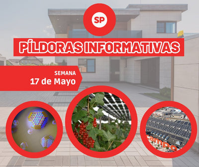 Pildoras informativas - 17 de mayo